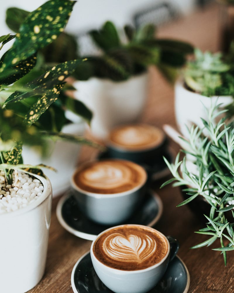 Cafes covered by Hospo Cover